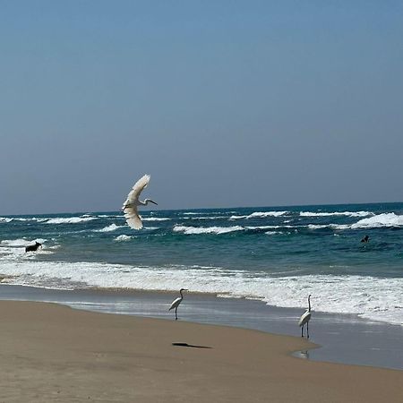 Go To Apartments In Leonardo Bat Yam Esterno foto